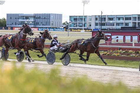 addington races